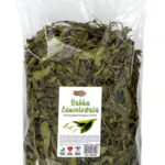 Babka lancetowata ALEGIA 300g