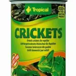 Pokarm dla gadów TROPICAL crickets 100ml