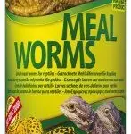 Pokarm dla gadów TROPICAL meal worms 250ml