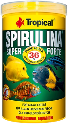pol_pl_TROPICAL-Super-Spirulina-Forte-250ml-14971_3