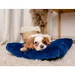 Legowisko Shaggy MIMIKO L prostokątne chabrowe 65x45cm