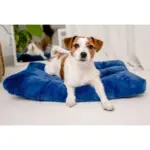 Legowisko Shaggy MIMIKO L prostokątne chabrowe 65x45cm