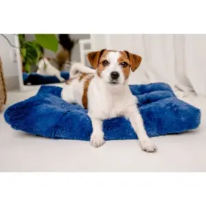 Legowisko Shaggy MIMIKO L prostokątne chabrowe 65x45cm