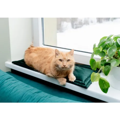 Mata MIMIKO S velvet butelkowa zieleń 25x70cm 3 Mata MIMIKO S velvet butelkowa zieleń 25x70cm