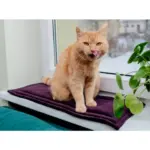 Mata MIMIKO S velvet fioletowy 25x70cm