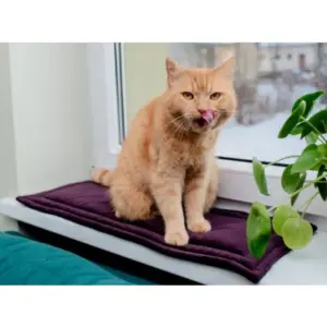 Mata MIMIKO S velvet fioletowy 25x70cm