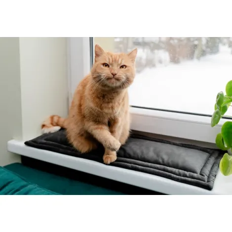 Mata MIMIKO S velvet grafit 25x70cm