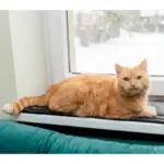 Mata MIMIKO S velvet grafit 25x70cm