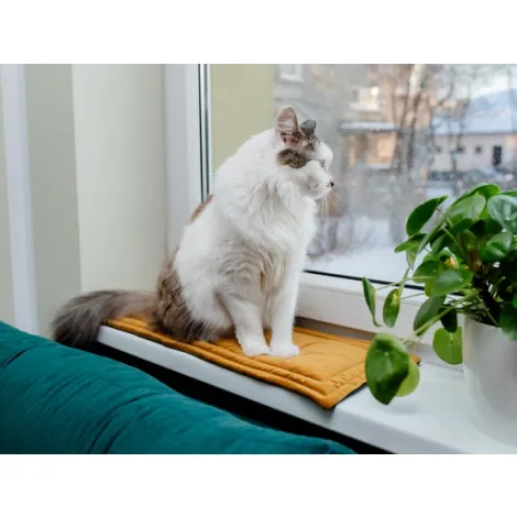 Mata MIMIKO S velvet żółty 25x70cm