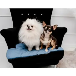 Mata MIMIKO velvet chmurka 48x70cm