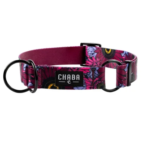 Obroża dla psa CHABA półzacisk story L LAKOTA 3cm-36-60cm