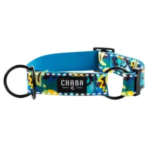 Obroża dla psa CHABA półzacisk story M CARNIVAL 2.5cm-26-50cm