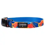 Obroża dla psa CHABA regulowana story L AUSSIE 32-53cm-2.5cm