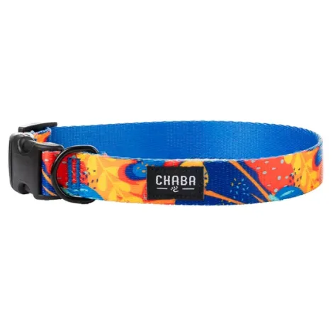 Obroża dla psa CHABA regulowana story M AUSSIE 25-42cm-2cm