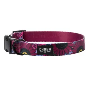 Obroża dla psa CHABA regulowana story M LAKOTA 25-42cm-2cm