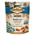Przysmaki dla psa CARNILOVE Crunchy łosoś borówka 200g- chrupiące, naturalne przekąski z łososia i borówek dla psa.