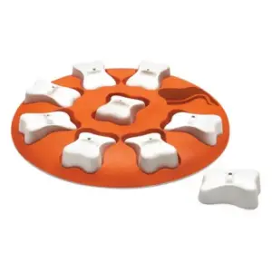 Zabawka dla psa OUTWARD HOUND Smart - gra edukacyjna