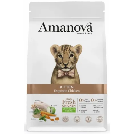 Karma dla kota AMANOVA kitten exquisite kurczak 300g