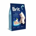 Karma dla kota BRIT premium kitten kurczak 1.5kg