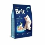 Karma dla kota BRIT premium kitten kurczak 300g