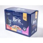 Karma dla kota BRIT premium multipack sasz. 12x100g