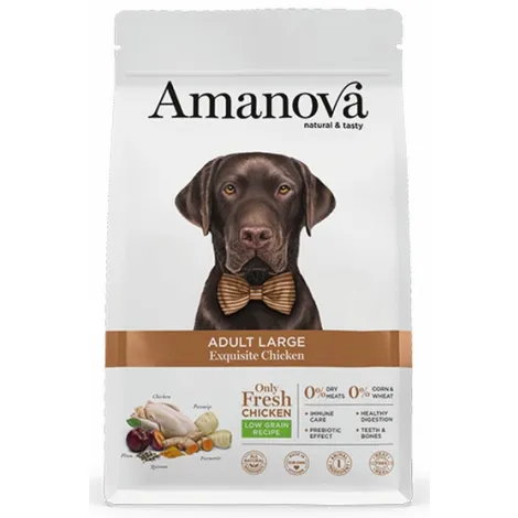 Karma dla psa AMANOVA Adult Large Exquisite kurczak 12kg Karma dla psa AMANOVA Adult Large Exquisite kurczak 12kg