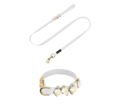 Komplet PETSORIES smycz obroża