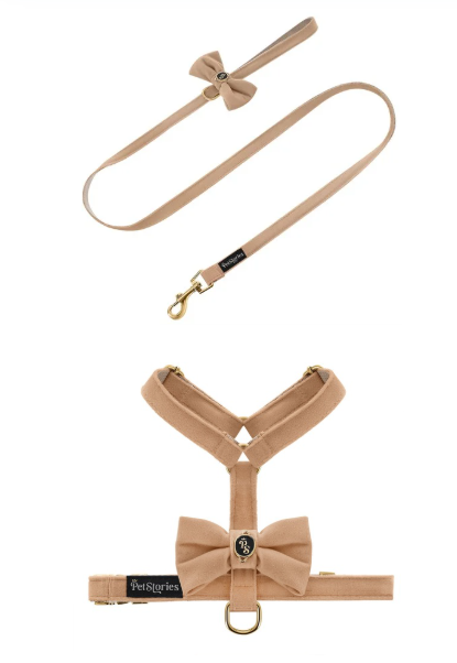 Komplet PETSORIES smycz szelki velvet bow beżowy