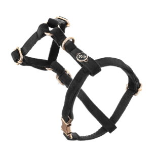 Luksusowe regulowane szelki guard PETSTORIES różne kolory XS S M