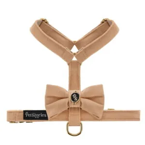Luksusowe szelki guard PETSTORIES velvet bow różne kolory XS S M