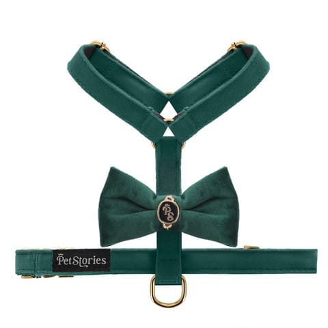 Luksusowe szelki guard PETSTORIES velvet bow różne kolory XS S M