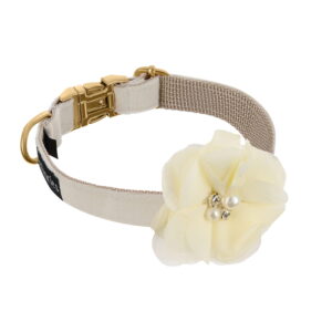 Obroża PETSTORIES amore S M L XL XXL