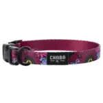 Obroża dla psa CHABA regulowana story S LAKOTA 20-33cm-1.6cm