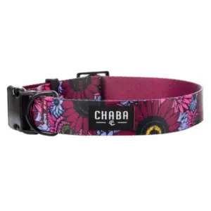 Obroża dla psa CHABA regulowana story XL LAKOTA 40-65cm-3cm