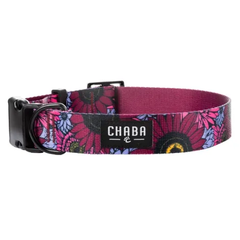 Obroża dla psa CHABA regulowana story XL LAKOTA 40-65cm-3cm