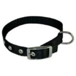 Obroża dla psa CHABA taśma 16mm-46cm czarna