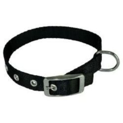 Obroża dla psa CHABA taśma 16mm-46cm czarna