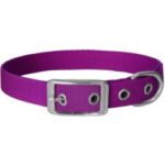 Obroża dla psa CHABA taśma 20mm-57cm fuksja
