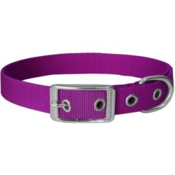 Obroża dla psa CHABA taśma 20mm-57cm fuksja