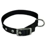 Obroża dla psa CHABA taśma 25mm-70cm czarna