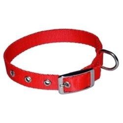 Obroża dla psa CHABA taśma 25mm-70cm czerwona
