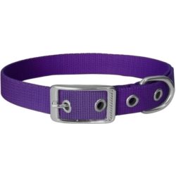 Obroża dla psa CHABA taśma 25mm-70cm fioletowa