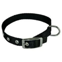 Obroża dla psa CHABA taśma 30mm-80cm czarna