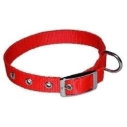 Obroża dla psa CHABA taśma 30mm-80cm czerwona