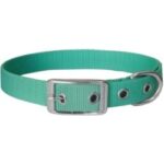 Obroża dla psa CHABA taśma 30mm-80cm mięta