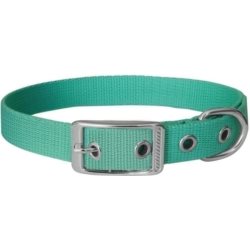 Obroża dla psa CHABA taśma 30mm-80cm mięta