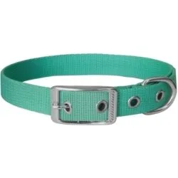 Obroża dla psa CHABA taśma 30mm-80cm mięta