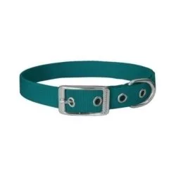 Obroża dla psa CHABA taśma 30mm-80cm morska