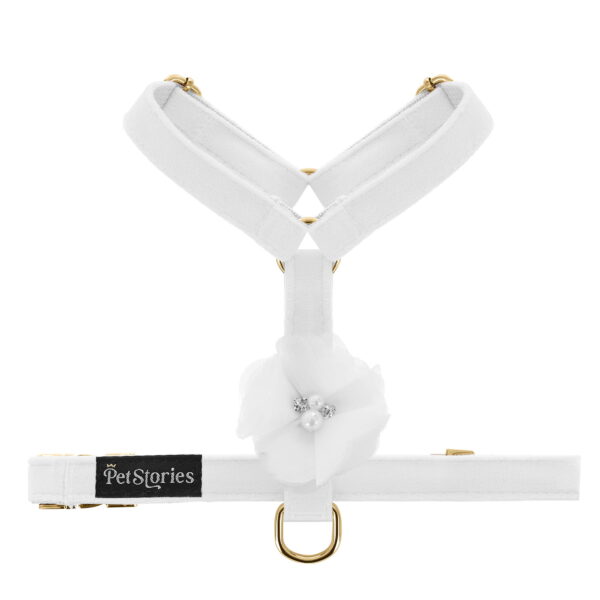 Szelki PETSTORIES amore różne kolory XS S M