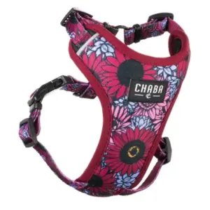 Szelki dla psa CHABA GUARD COMFORT LAKOTA S